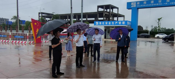 省國資委副主任張翔調(diào)研尊龍凱時-人生就是搏永興基地