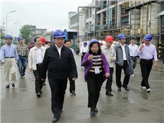 省委常委、常務副省長陳肇雄視察尊龍凱時-人生就是搏常德公司